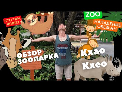 Видео: БЕРЕГИТЕСЬ диких обезьян! Весёлый обзор зоопарка Кхао Кхео в Паттайе.