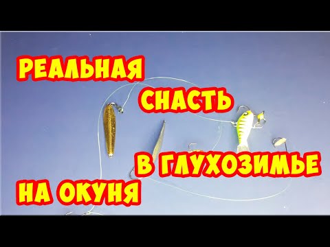 Видео: РЕАЛЬНАЯ СНАСТЬ В ГЛУХОЗИМЬЕ. ЗИМНЯЯ СНАСТЬ НА ОКУНЯ! Как поймать окуня зимой.
