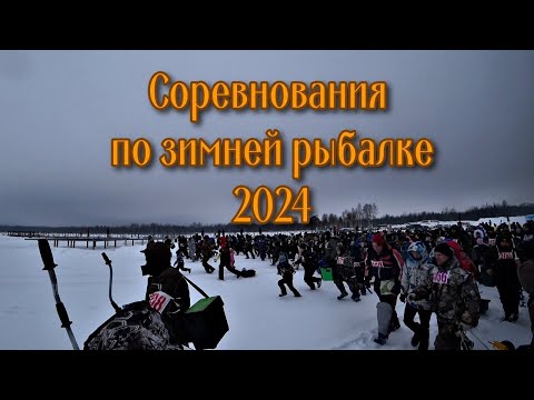 Видео: Соревнования по зимней рыбалке 2024. Пестовский район. Зимняя рыбалка на мормышку. Рыбалка 2024.