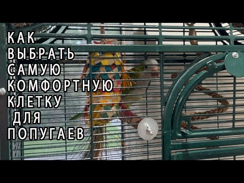 Видео: ОБЗОР САМОЙ ЛУЧШЕЙ КЛЕТКИ ДЛЯ ПОПУГАЕВ