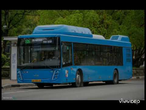 Видео: Покойо второй автобус МАЗ-203.С65 и МАЗ-206.948 в Сочи 