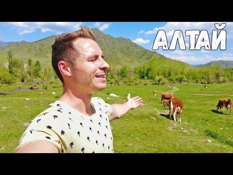 Видео: СУМАСШЕДШИЙ АЛТАЙ. ЧТО ЕДЯТ НА АЛТАЕ. ГДЕ СПАТЬ НА АЛТАЕ