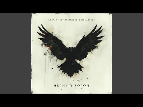 Видео: Чёрный ворон