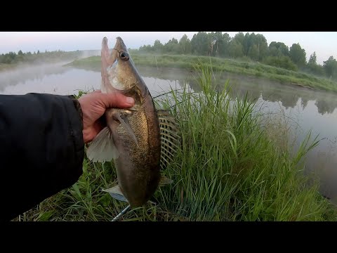 Видео: СУДАК НА МАЛЬКА !!! РЫБАЛКА С НОЧЁВКОЙ!!!