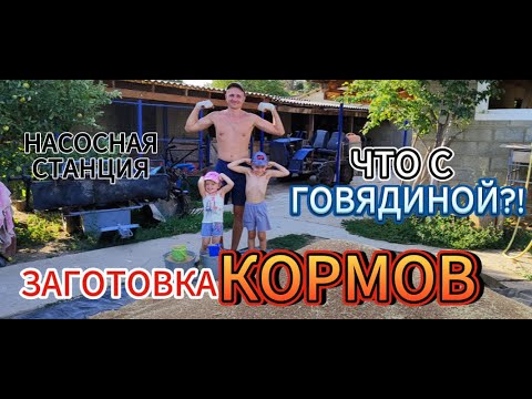 Видео: Что с говядиной?!Заготовка кормов.Насосная станция.