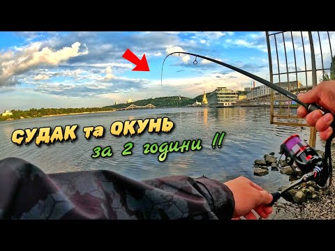 Видео: Що КЛЮЄ в центрі міста? Перевіряємо набережну