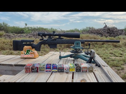 Видео: ТЕСТ ТОЧНОСТИ ПУЛИ BERGARA B14R CARBON 22 WMR НА 100 ЯРДАХ.