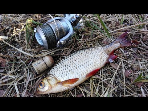 Видео: НА ЧТО ЛУЧШЕ КЛЮЕТ РЫБА ? Ловля на попла- поппер.What is better pecking fish Catching popper.