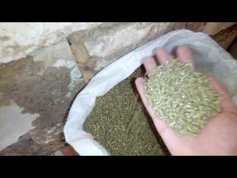 Видео: Комбикорм для кроликов.
