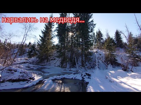 Видео: Пробираемся в Тверскую область,.