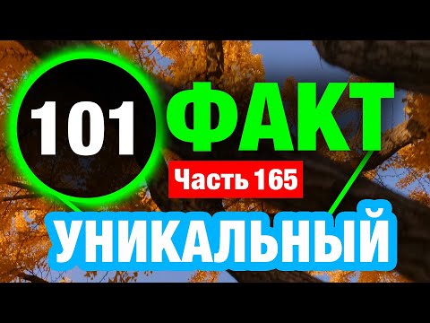 Видео: 101 Потрясающий Факт Который Сделает Вас Умнее