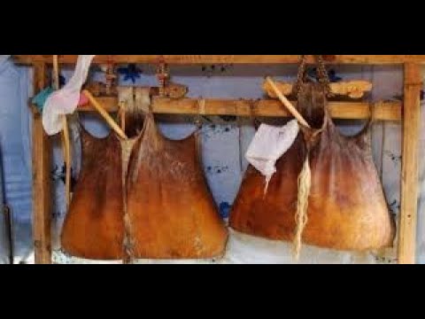 Видео: Гүүний айраг исгэх уламжлал