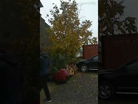 Видео: Дунганская свадьба!!!