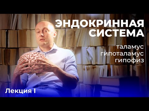 Видео: Эндокринная система. Лекция первая.