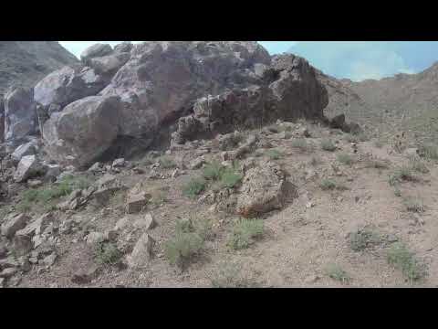 Видео: Табошар 2022