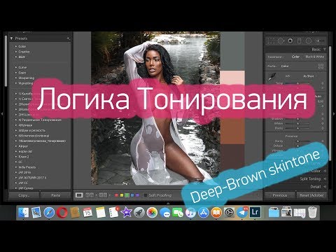 Видео: Логика коричневых/бежевых тонировок. Lightroom.