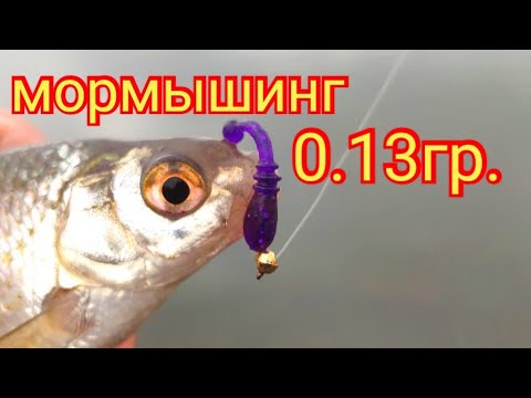 Видео: Мормышинг.Весенняя рыбалка .Плотва.Уклейка.