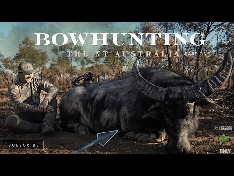 Видео: Моя первая охота на буйвола! / Bowhunting Australia 2025