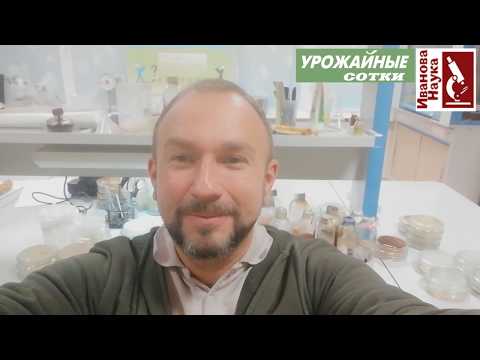 Видео: Самые эффективные комбинации биопрепаратов при выращивании растений. Совместимость.