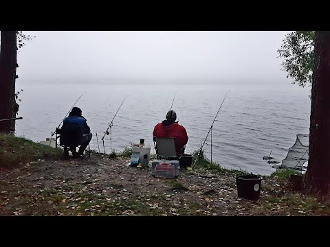 Видео: Первый Ночной Лещ! Поклёвки Только у Отца! Рыбалка с Ночевкой. Фидер на Чигиринском Водохранилище.