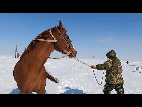 Видео: Мощный Шамал.