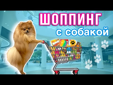 Видео: Новогодний шоппинг с Патриком 🛒🐕💸 ВЛОГМАС🎄#новогоднийшоппинг