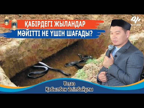 Видео: Қабірдегі жылан мәйітті не үшін шағады? ұстаз Қабылбек Әліпбайұлы