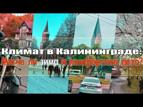 Видео: Климат в Калининграде: Мягче ли зима и комфортнее лето?