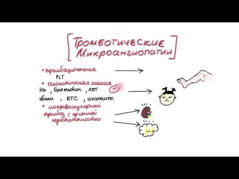 Видео: Тромботические микроангиопатии. Этиология, патогенез и клиническая картина.