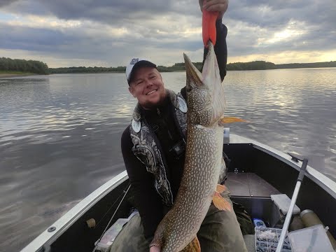 Видео: Вычегда,джиг,щука