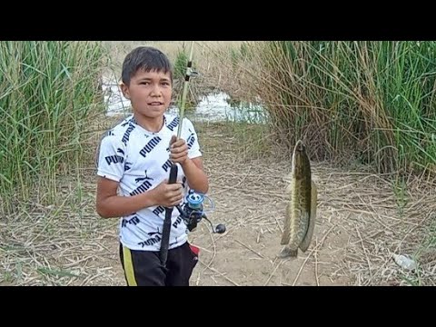 Видео: Рыбалка на Ташморе