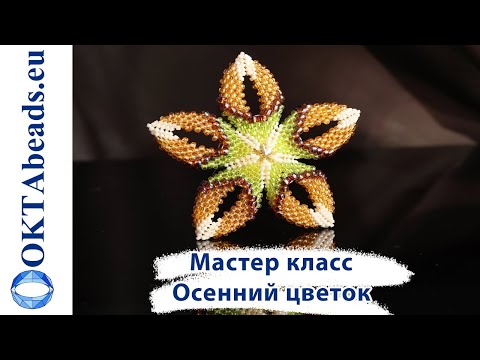 Видео: Мастер класс: Осенний цветок