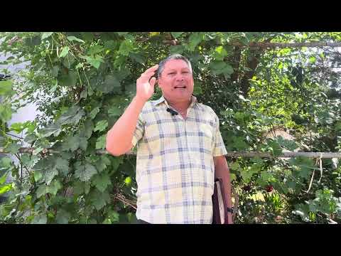 Видео: Құдайдын ерекше тандап алған баурым 🙏 Матай 12:36,37 тарау . 08.06.25 ж