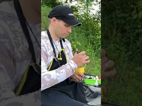 Видео: Живой компонент в прикормку. Секрет фидерной ловли. Как поймать много рыбы #fishing #feeder #рыбалка