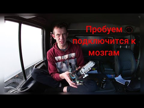 Видео: Пробуем подключиться к другим мозгам.