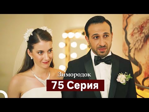 Видео: Зимородок 75 Cерия (Русский дубляж)