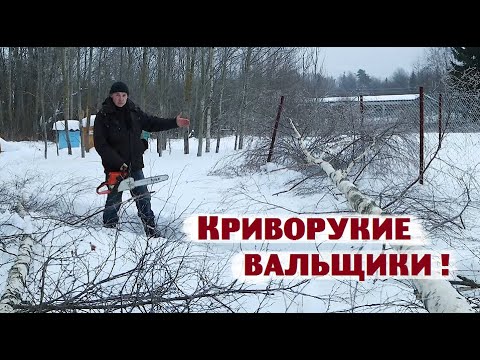 Видео: Умудрились - таки уронить дерево прямо себе на забор!