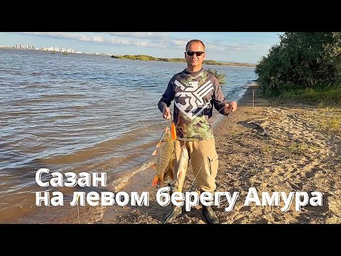 Видео: Ловим сазана на левом берегу Амура.