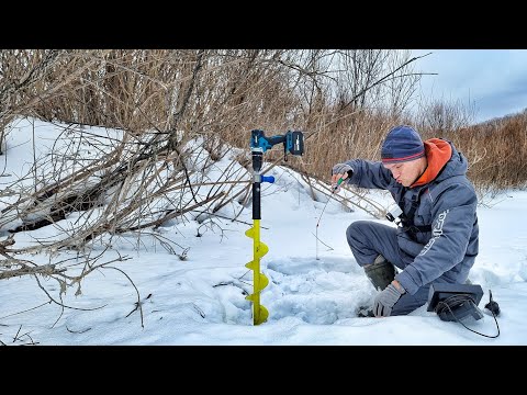 Видео: РЕАЛЬНЫЕ ЛАПТИ В КОРЯЖНИКЕ! ОНИ ОЧНУЛИСЬ В РЕКЕ! Зимняя рыбалка по последнему льду на малой реке