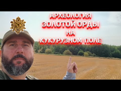 Видео: Археология Золотой Орды на кукурузном поле. Находок на целый музей!