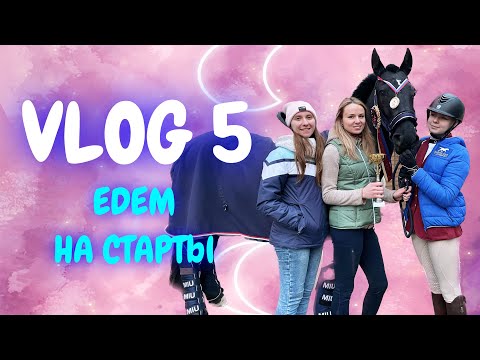 Видео: VLOG 5 | ЕДЕМ НА СТАРТЫ | БУЛКА В ШОКЕ