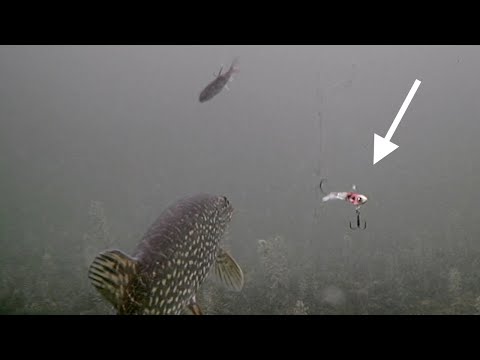 Видео: Подледная рыбалка на щуку с помощью ACME Hyper Hammer T.T.