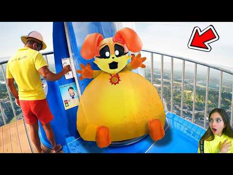 Видео: 😭 НЕ ХОДИ В АКВАПАРК ЗАСТРЯНЕШЬ.. 😱 Poppy playtime 3 КОТ ДРЕМОТ ДОГДЕЙ В РЕАЛЬНОЙ ЖИЗНИ ПОМНИ КЭТНЭП