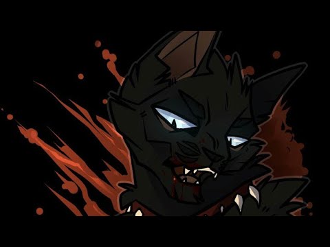 Видео: Коты - Воители: Бич "Life in da trash"