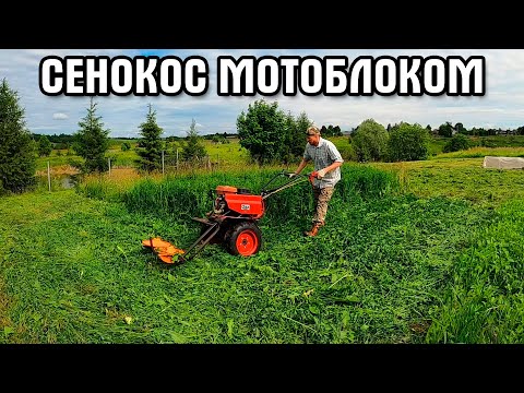 Видео: Сенокос мотоблоком. Пробное окучивание картошки.