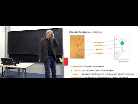 Видео: Лекция 1. Нейронные сети. Теоретические результаты