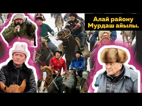 Видео: Алайда дүңгүрөгөн улак болду. Самидин атанын неберелерине  арналган аламан улак (29-01-23/ 1- бөлүм)