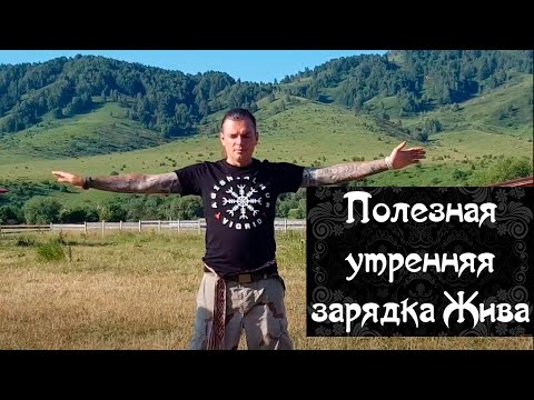 Видео: Полезная утренняя зарядка Жива. Олег Даргор