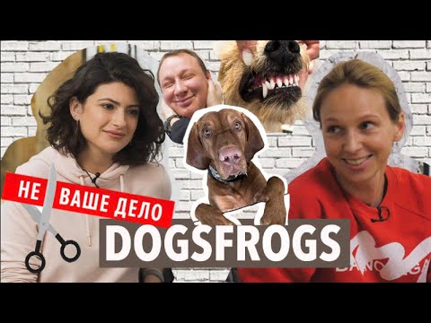 Видео: Бизнес на миллионы с хвостиком - DOGSFROGS #НеВашеСобачьеДело