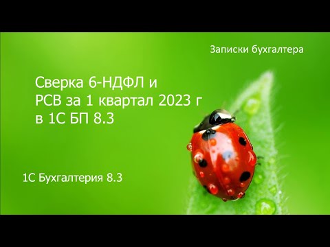 Видео: Сверка 6 НДФЛ и РСВ в 1С за 1 квартал 2023 г.